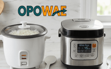 Rice cooker digital vs analog